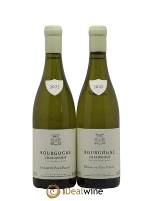 Bourgogne Paul Pillot (Domaine)