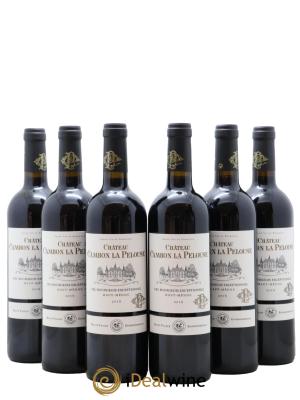 Château Cambon la Pelouse Cru Bourgeois 