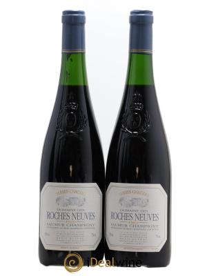 Saumur-Champigny Terres Chaudes Domaine Des Roches Neuves Denis Duveau