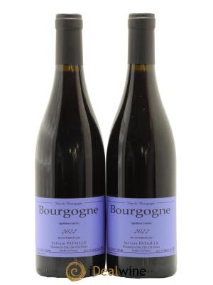 Bourgogne Sylvain Pataille (Domaine)