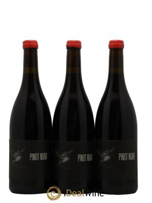 Hautes-Côtes de Nuits Arnaud Lopez Pinot Noar