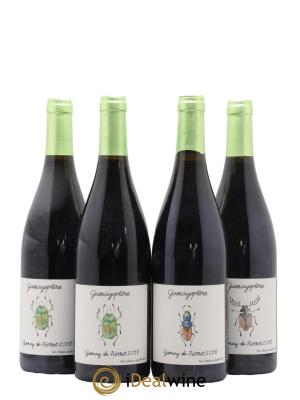 Coteaux Bourguignons Gamayoptère Antoine Lienhardt