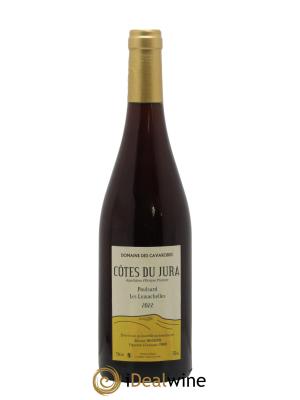 Côtes du Jura Poulsard Les Lumachelles Cavarodes (Domaine des) - Etienne Thiébaud