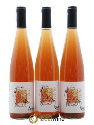 Alsace Vin de Macération Fusion Pelliculaire Vignoble des 3 Terres