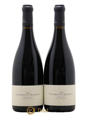 Chambolle-Musigny 1er Cru Les Plantes Amiot-Servelle