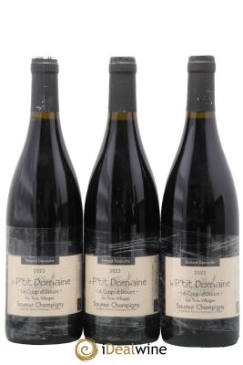 Saumur-Champigny Cuvee Le Coup D'Douze Les Trois Villages Le P'Tit Domaine Richard Desouche