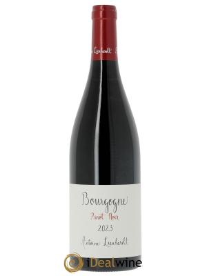 Bourgogne Pinot Noir  Antoine Lienhardt 