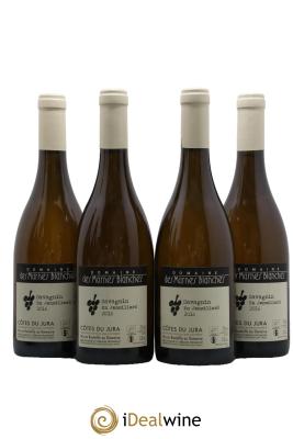 Côtes du Jura En Jensillard Marnes Blanches (Domaine des)