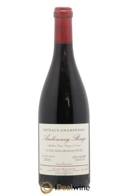 Grand Cru Ambonnay Cuvée des Grands Côtés VV Egly-Ouriet