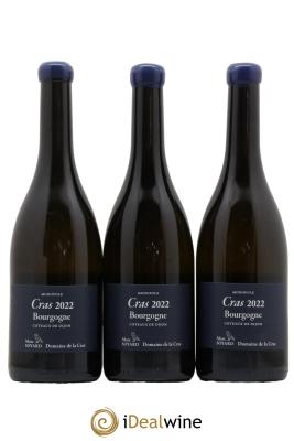 Bourgogne Cras Domaine de la Cras - Marc Soyard