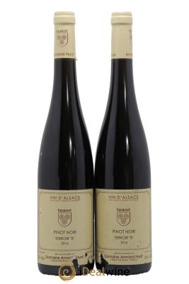 Alsace Pinot Noir Terroir B Domaine Hurtz