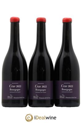 Bourgogne Cras Domaine de la Cras - Marc Soyard