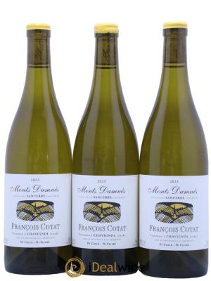 Sancerre Les Monts Damnés François Cotat 