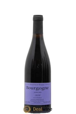 Bourgogne Sylvain Pataille (Domaine)