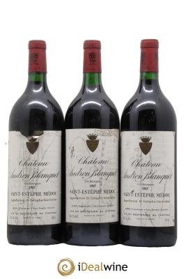 Château Andron Blanquet Cru Bourgeois 