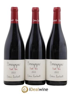 Bourgogne Pinot Noir  Antoine Lienhardt