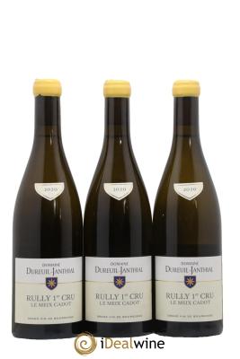 Rully 1er Cru Le Meix Cadot Vincent Dureuil-Janthial 