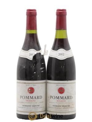 Pommard 1er Cru Rugiens Domaine Lejeune