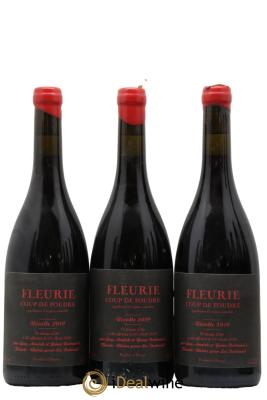 Fleurie Coup de Foudre Yann Bertrand