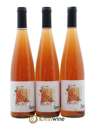 Alsace Vin de Macération Fusion Pelliculaire Vignoble des 3 Terres