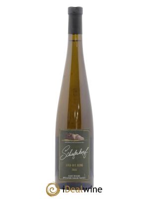 Alsace Riesling Lieu-dit Berg Schieferkopf - Chapoutier 