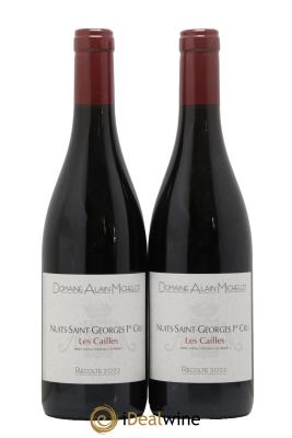 Nuits-Saint-Georges  1er Cru Les Cailles Alain Michelot (Domaine)