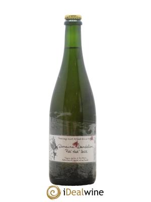 Vin de France Bourgogne Petillant Domaine Dandelion