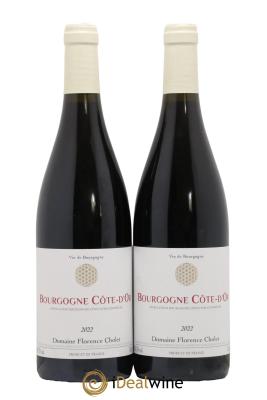 Bourgogne Cote d Or Domaine Florence Cholet