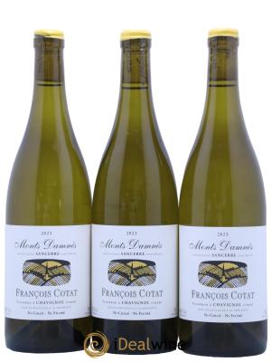 Sancerre Les Monts Damnés François Cotat 