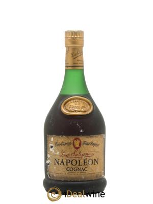 Cognac Napoleon L De Salignac 40%