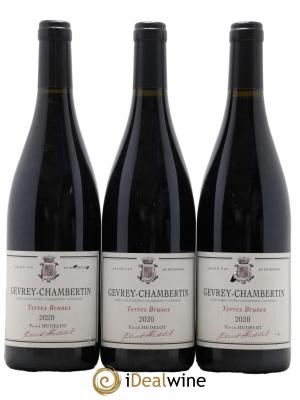 Gevrey-Chambertin Les Terres Brunes Domaine Hudelot Patrick