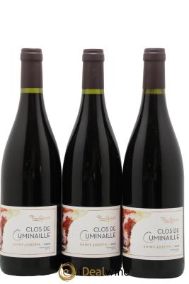 Saint-Joseph Clos de Cuminaille Pierre Gaillard