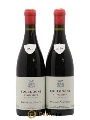 Bourgogne Domaine Paul Pillot