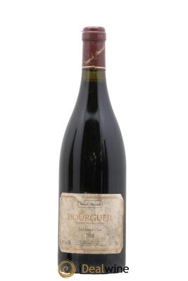 Bourgueil Grand Clos Yannick Amirault (Domaine)