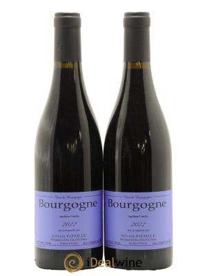 Bourgogne Sylvain Pataille (Domaine)