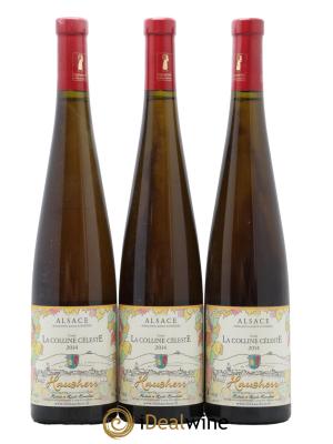 Alsace La Colline Celeste Hubert Et Heidi Hausherr