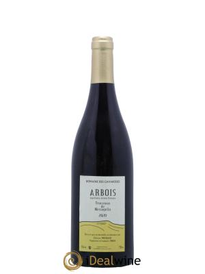 Arbois Trousseau de Messagelin Cavarodes (Domaine des) - Etienne Thiébaud