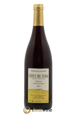 Côtes du Jura Poulsard Les Lumachelles Cavarodes (Domaine des) - Etienne Thiébaud