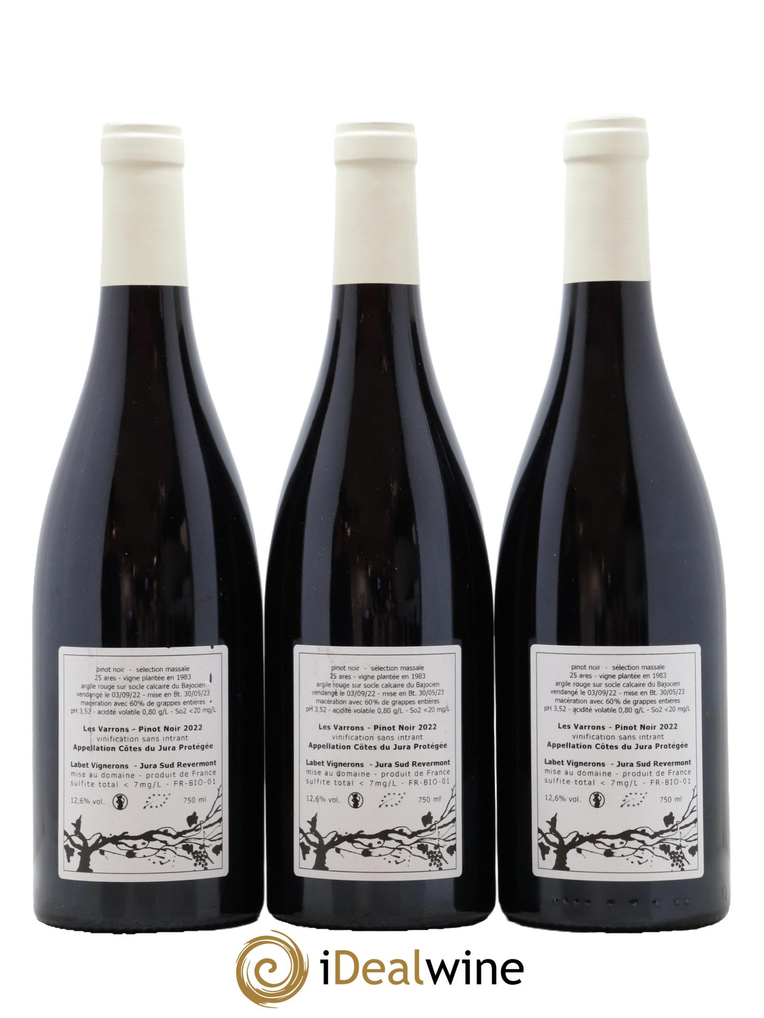 Côtes du Jura Pinot Noir Les Varrons Selection Massale 2022 - Lot of 3 bottles - 1