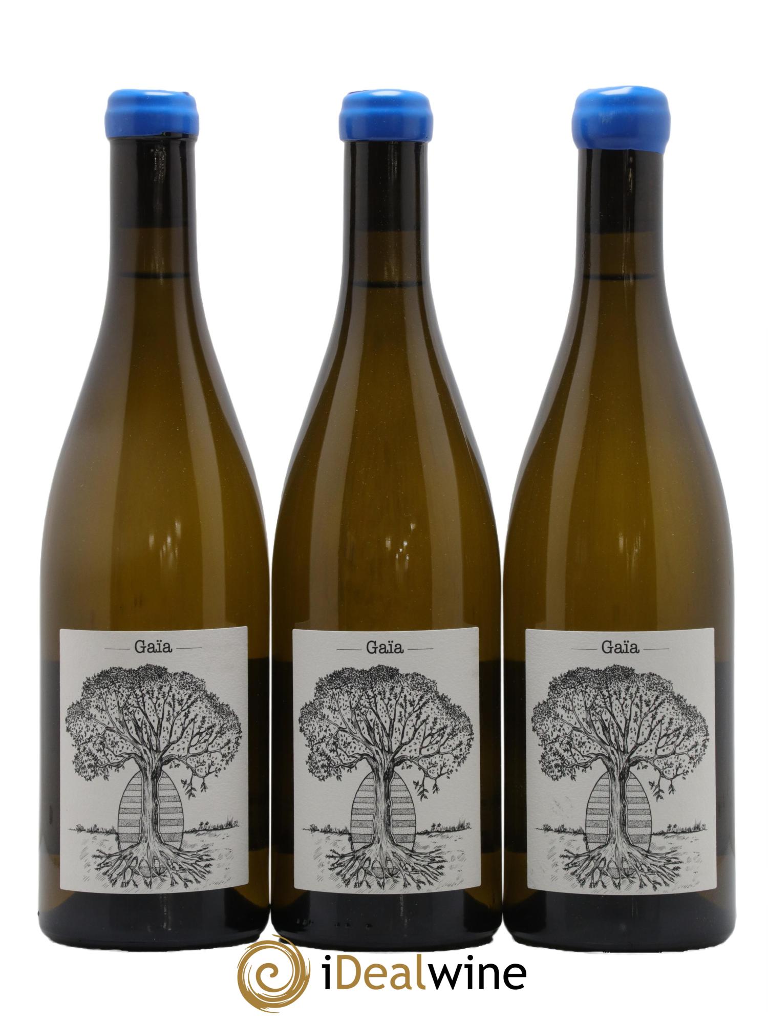 Muscadet-Sèvre-et-Maine Gaia Jérôme Bretaudeau - Domaine de Bellevue 2021 - Lot de 3 bouteilles - 0