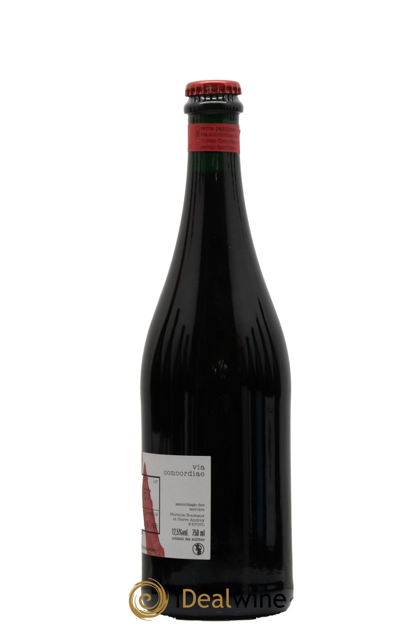 Vin de France Via Concordiae Pinot Gamay Florence Bouleaux et Pierre Andrey 2020 - Posten von 1 Flasche - 1