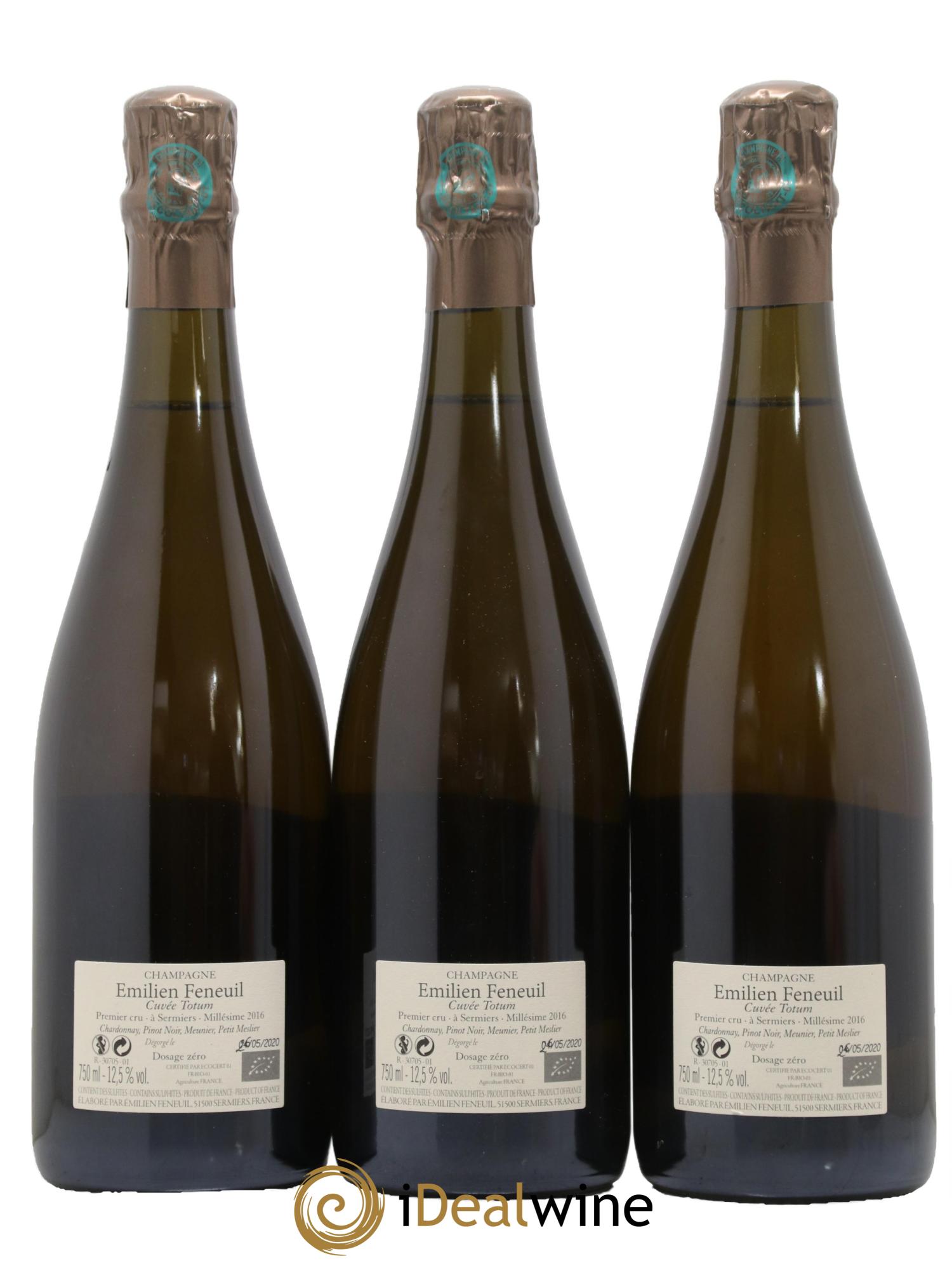 Cuvée Totum Emilien Feneuil 2016 - Lot of 3 bottles - 1