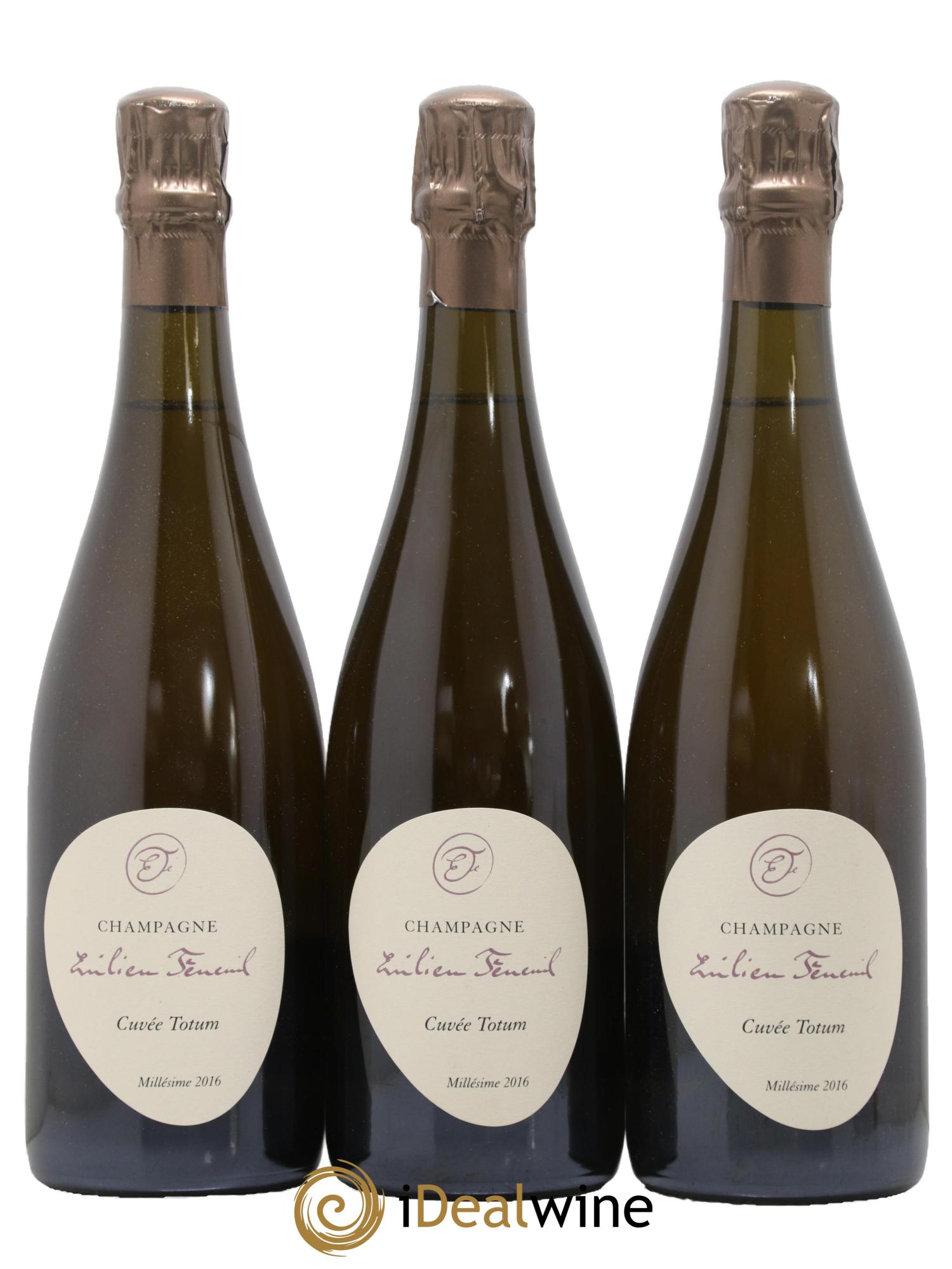 Cuvée Totum Emilien Feneuil 2016 - Lot of 3 bottles - 0