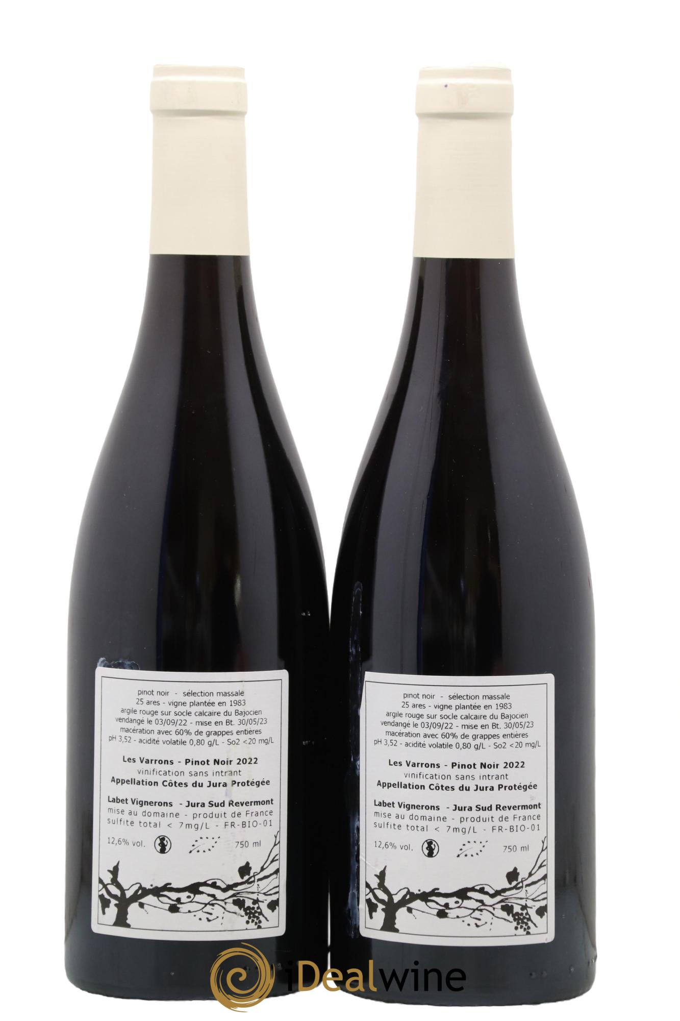 Côtes du Jura Pinot Noir Les Varrons Sélection Massale Domaine Labet 2022 - Lot of 2 bottles - 1