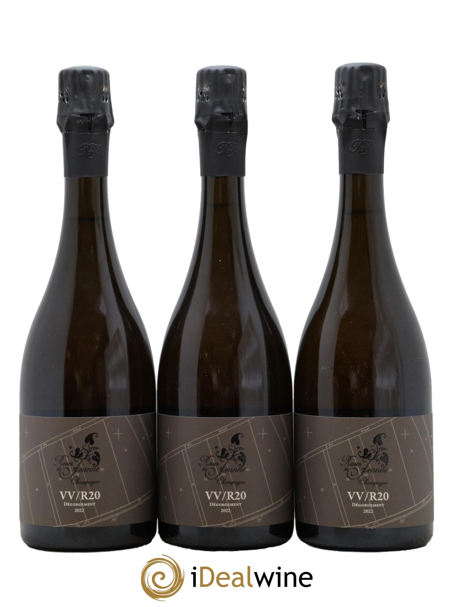 Roses de Jeanne Côte de Val Vilaine Blanc de Noirs Cédric Bouchard 2020 - Lot of 3 bottles - 0