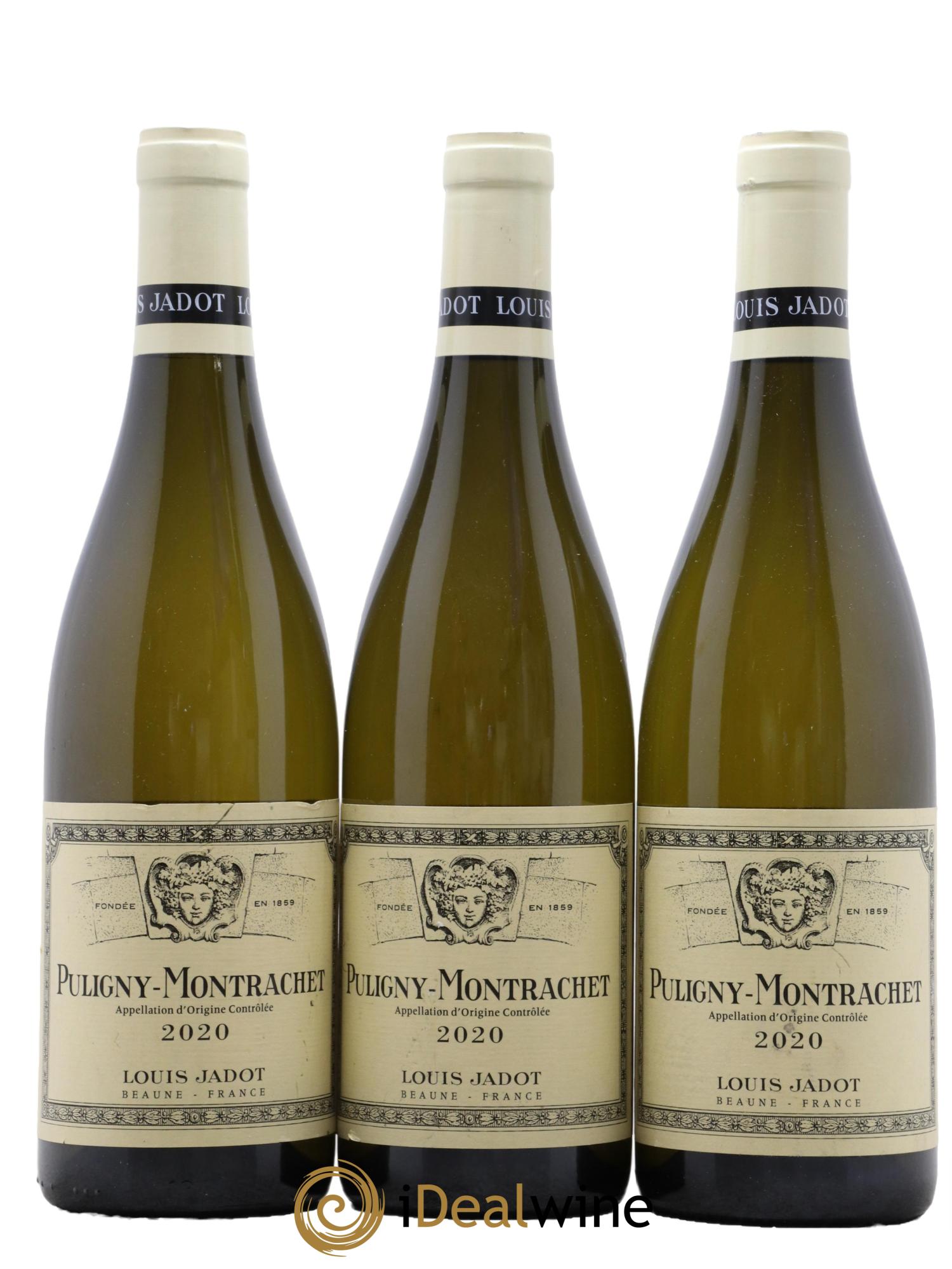 Puligny-Montrachet Louis Jadot  2020 - Lotto di 3 bottiglie - 0